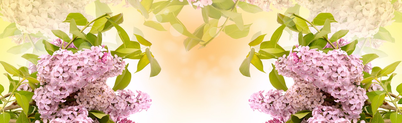 lilac-flower-3182773_1280.jpg