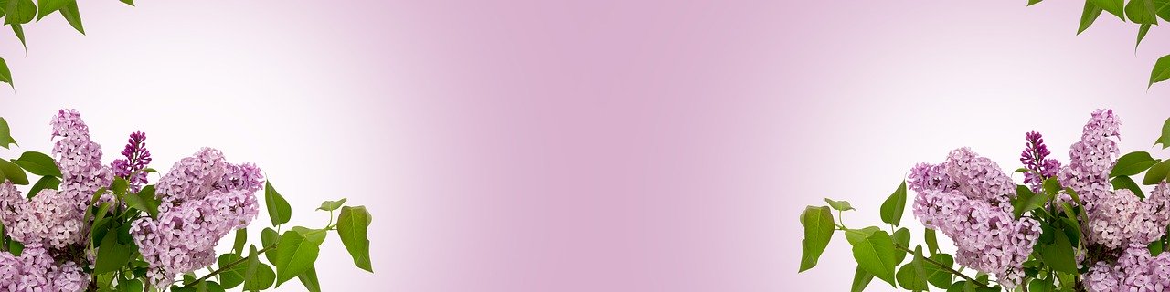 spring-background-3175322_1280.jpg